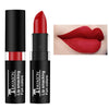 Waterproof Matte Liquid Lipstick