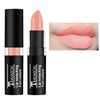 Waterproof Matte Liquid Lipstick